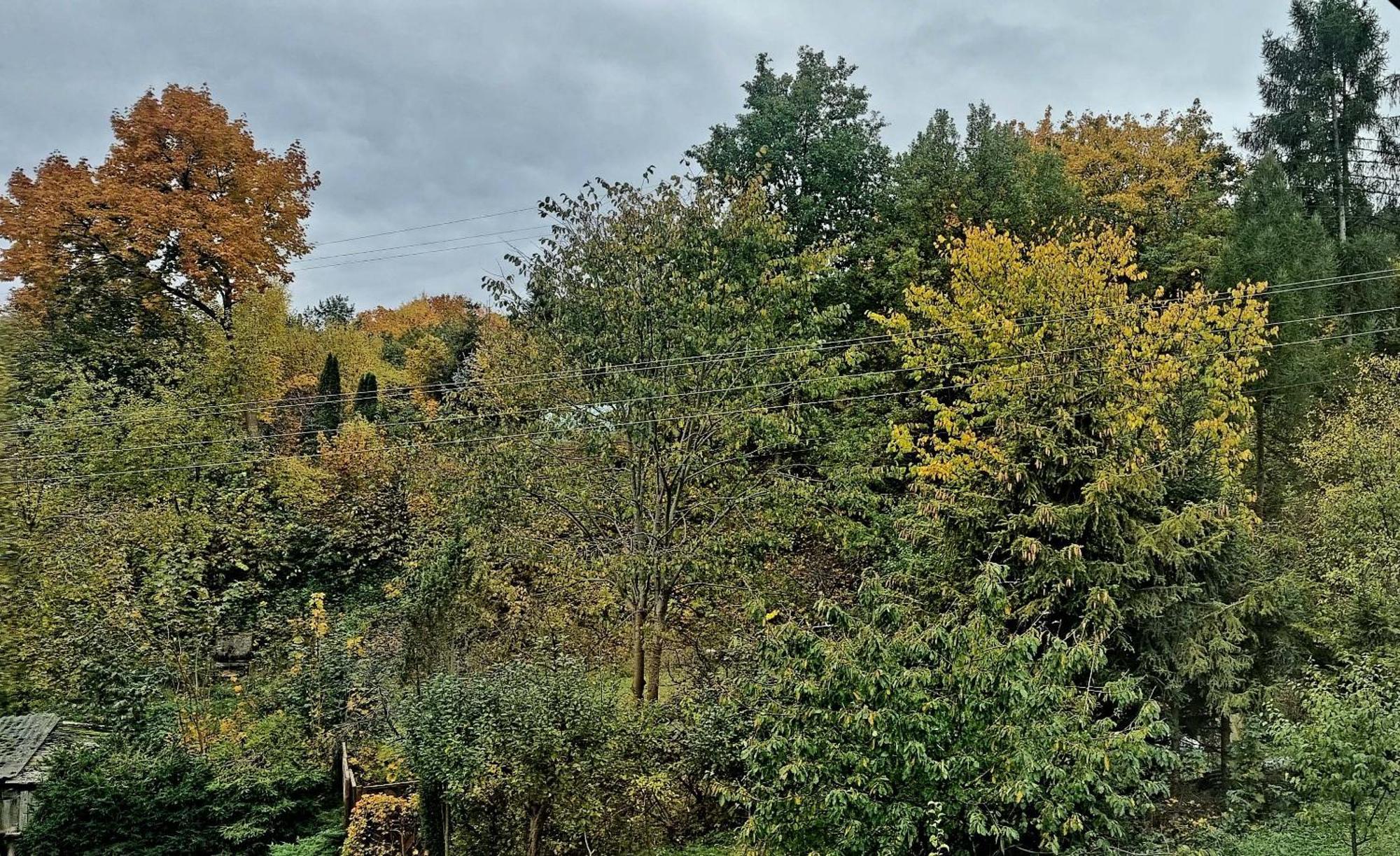 Gosciniec Skolimowka Restauracja I Pokoje Ze Sniadaniem Na Kaszubach Chmielno Esterno foto
